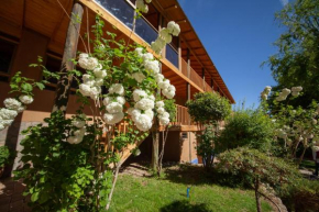 Гостиница Hotel Casona Distante  Пайгуано